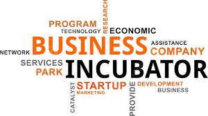 Startup Incubator Services, Business Incubator for Startups, Entrepreneur Mentorship Programs, Start